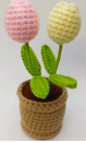 Tulip Pot Plant Crochet Plushie DIY Kit