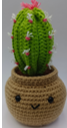 Cactus Pot Plant Crochet Plushie DIY Kit